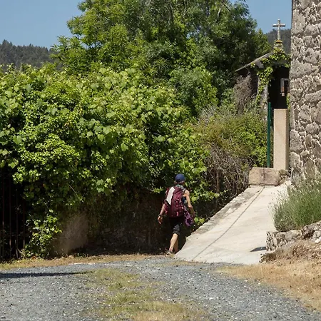 Landras De Compostela *