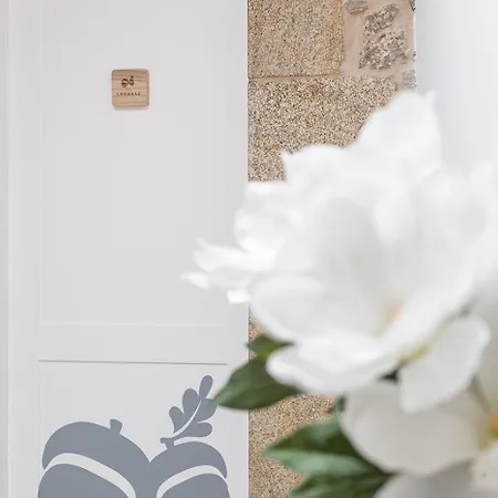 Landras De Compostela Santiago de Compostela